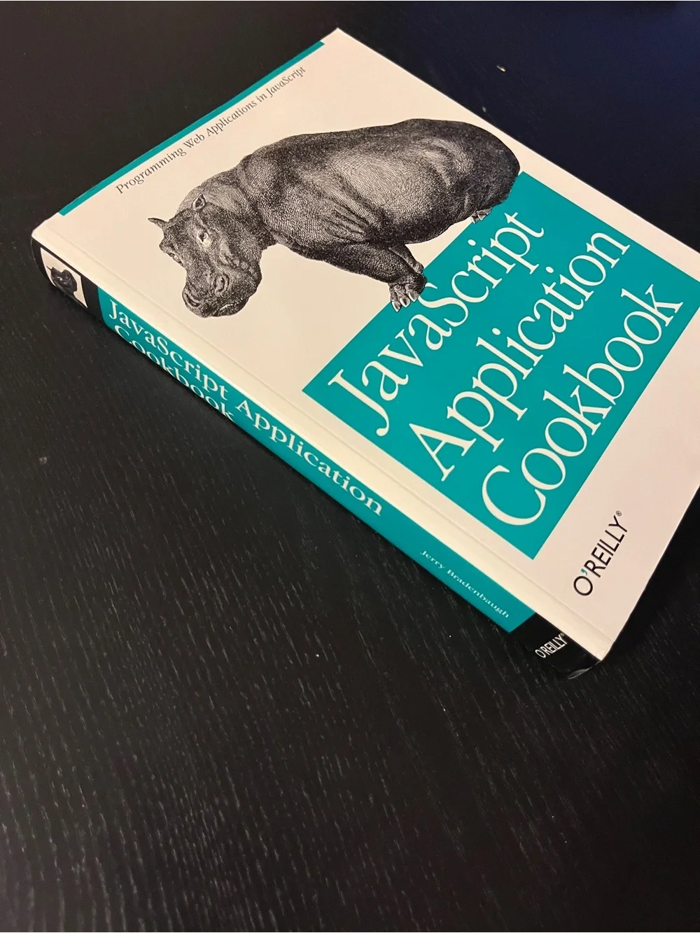 O'Reilly JavaScript Application Cookbook Book 1st Edition Jerry Bradenbaugh 1999